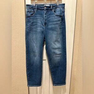 Risen Jeans LA Plus Size High Rise Tummy Control Straight Leg Ankle Length,1XL